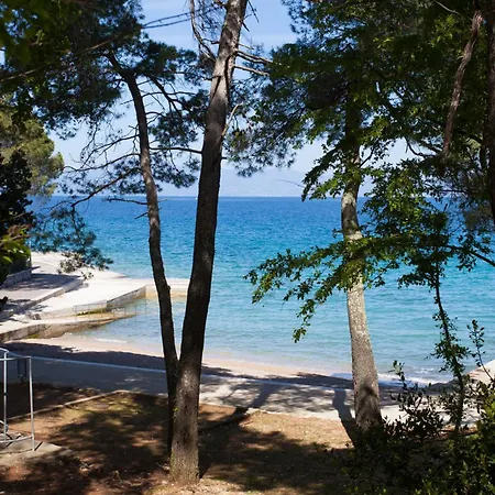 Family-friendly With Swimming Pool Milovcici, Krk - 25984 Appartamento *